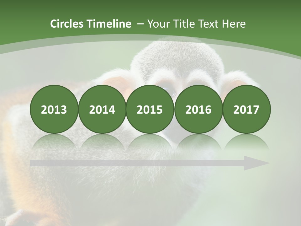 Ears Depth Of Field Tiny PowerPoint Template