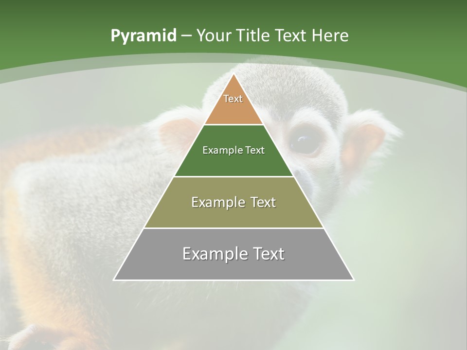 Ears Depth Of Field Tiny PowerPoint Template