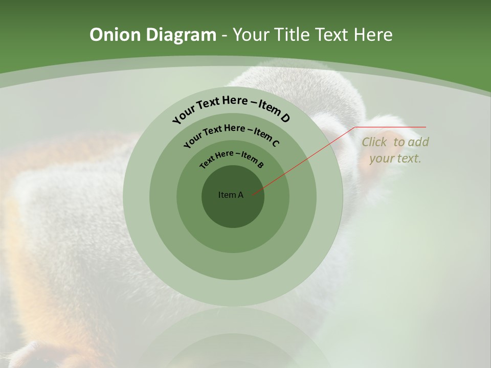 Ears Depth Of Field Tiny PowerPoint Template