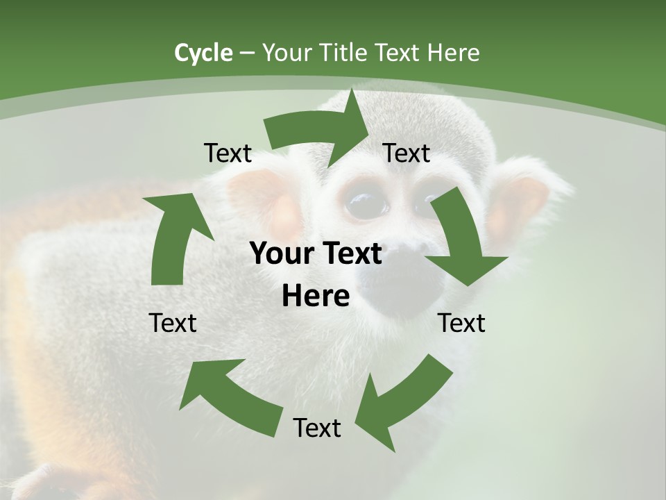 Ears Depth Of Field Tiny PowerPoint Template