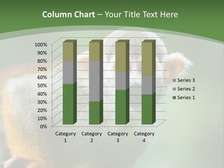 Ears Depth Of Field Tiny PowerPoint Template