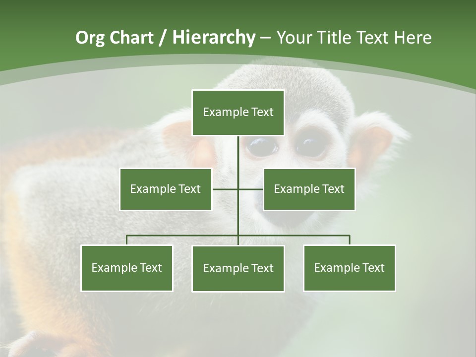 Ears Depth Of Field Tiny PowerPoint Template
