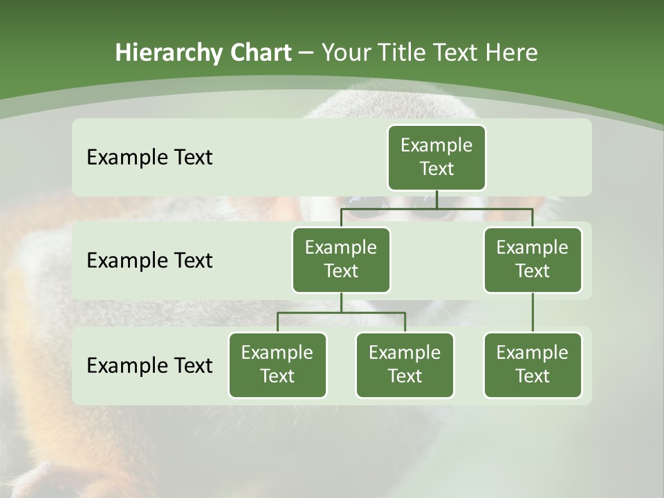Ears Depth Of Field Tiny PowerPoint Template