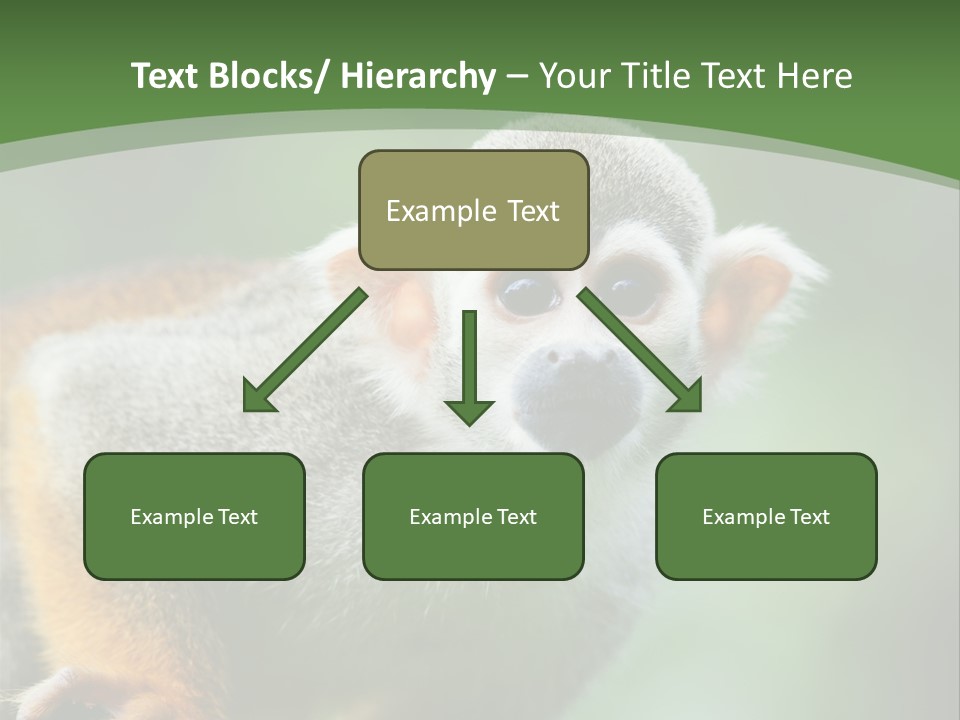 Ears Depth Of Field Tiny PowerPoint Template