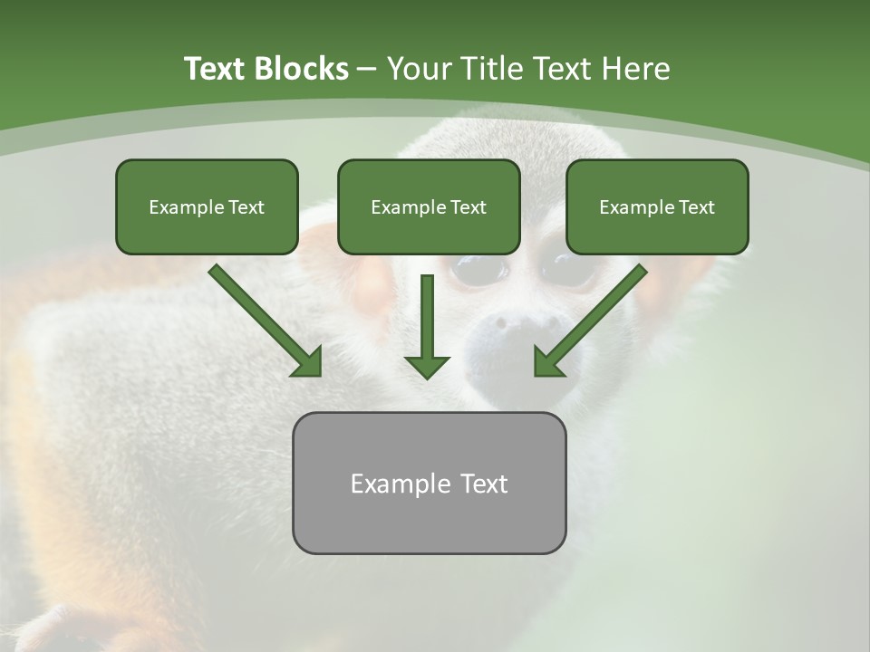 Ears Depth Of Field Tiny PowerPoint Template