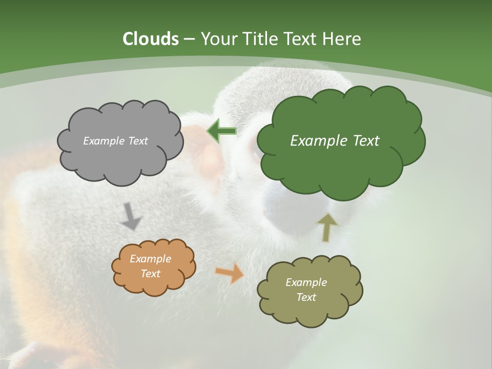 Ears Depth Of Field Tiny PowerPoint Template
