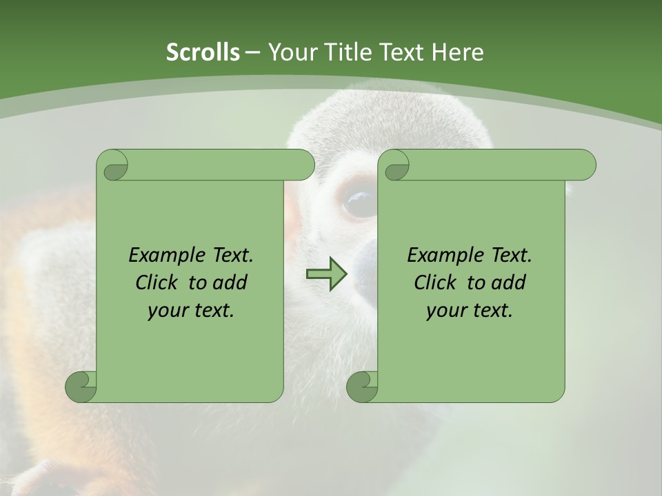 Ears Depth Of Field Tiny PowerPoint Template