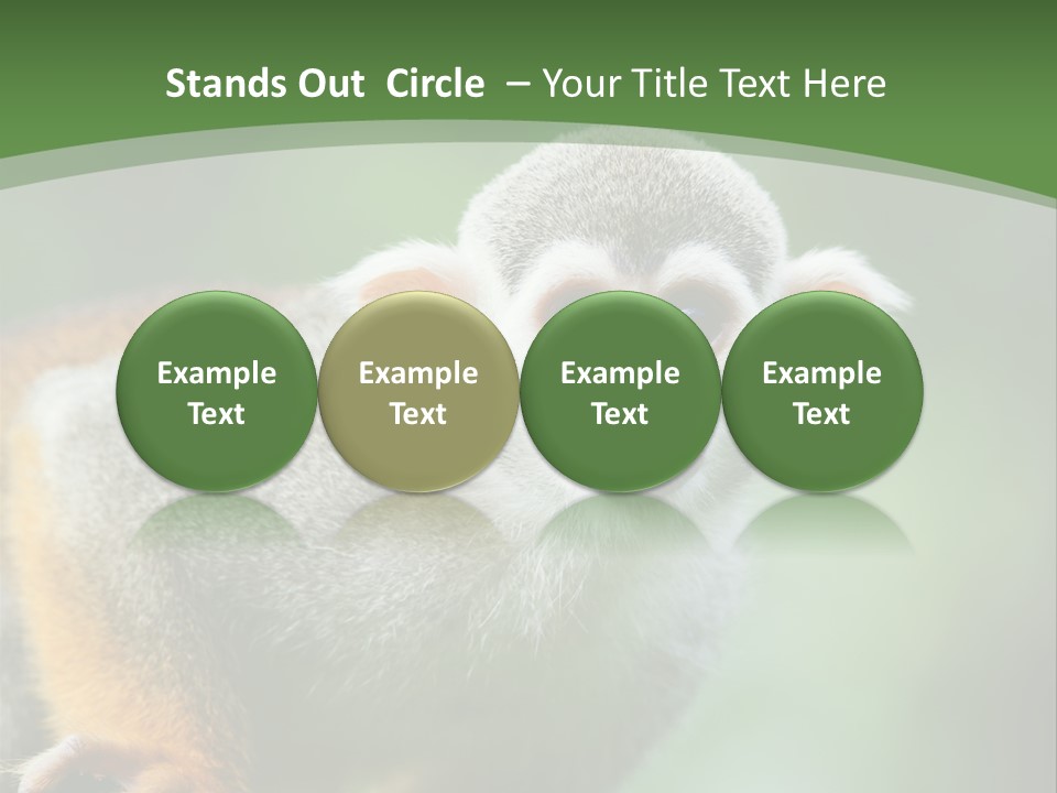 Ears Depth Of Field Tiny PowerPoint Template