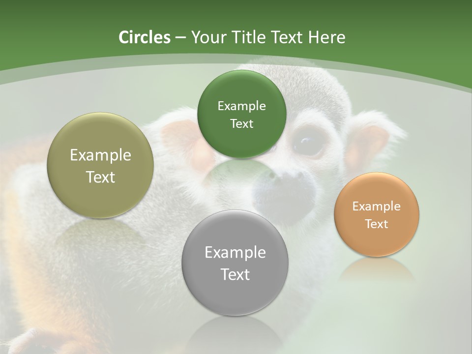 Ears Depth Of Field Tiny PowerPoint Template