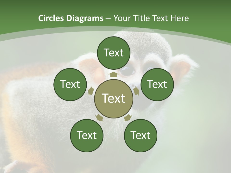 Ears Depth Of Field Tiny PowerPoint Template