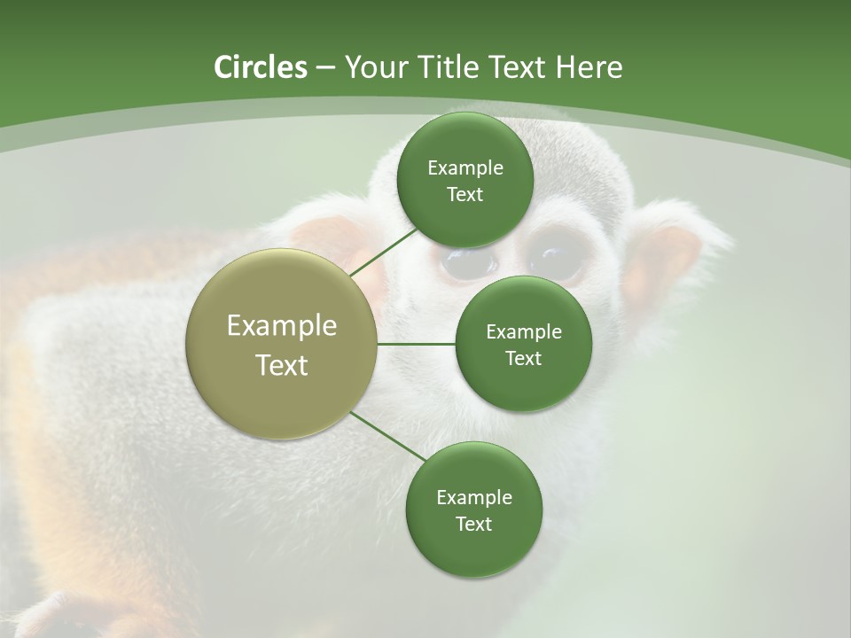 Ears Depth Of Field Tiny PowerPoint Template