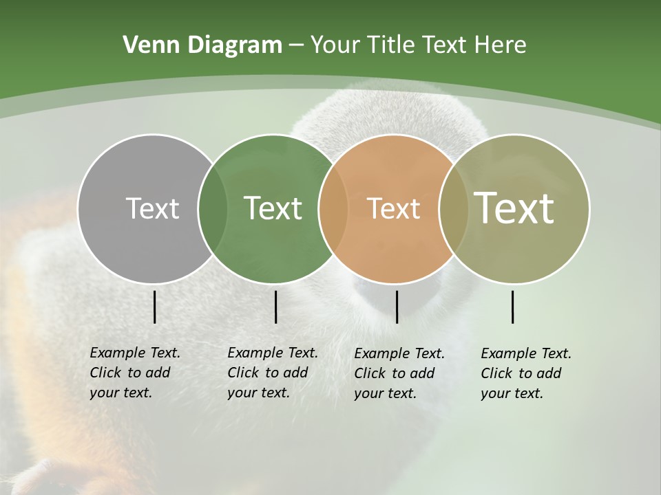 Ears Depth Of Field Tiny PowerPoint Template