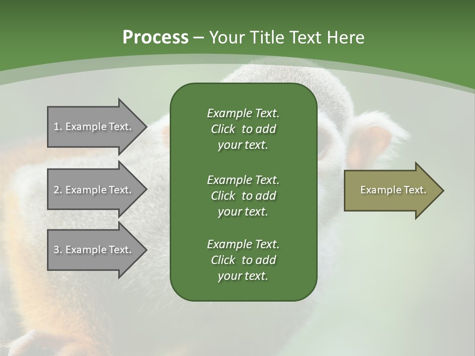 Ears Depth Of Field Tiny PowerPoint Template