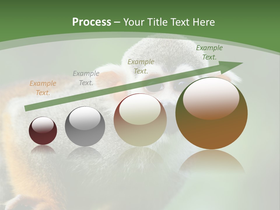 Ears Depth Of Field Tiny PowerPoint Template