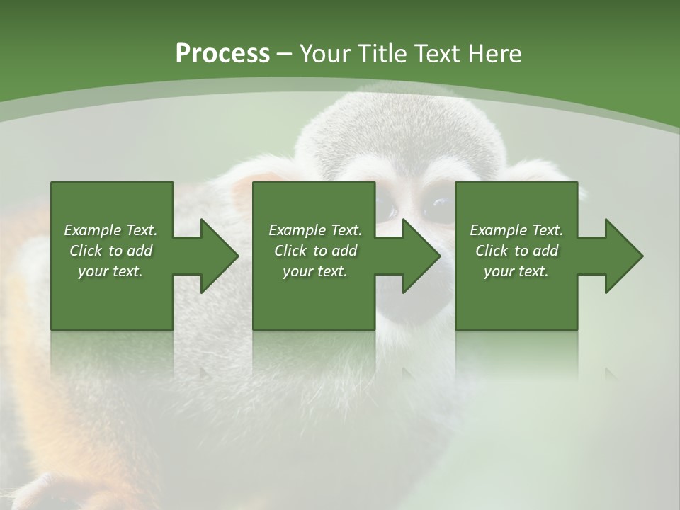 Ears Depth Of Field Tiny PowerPoint Template