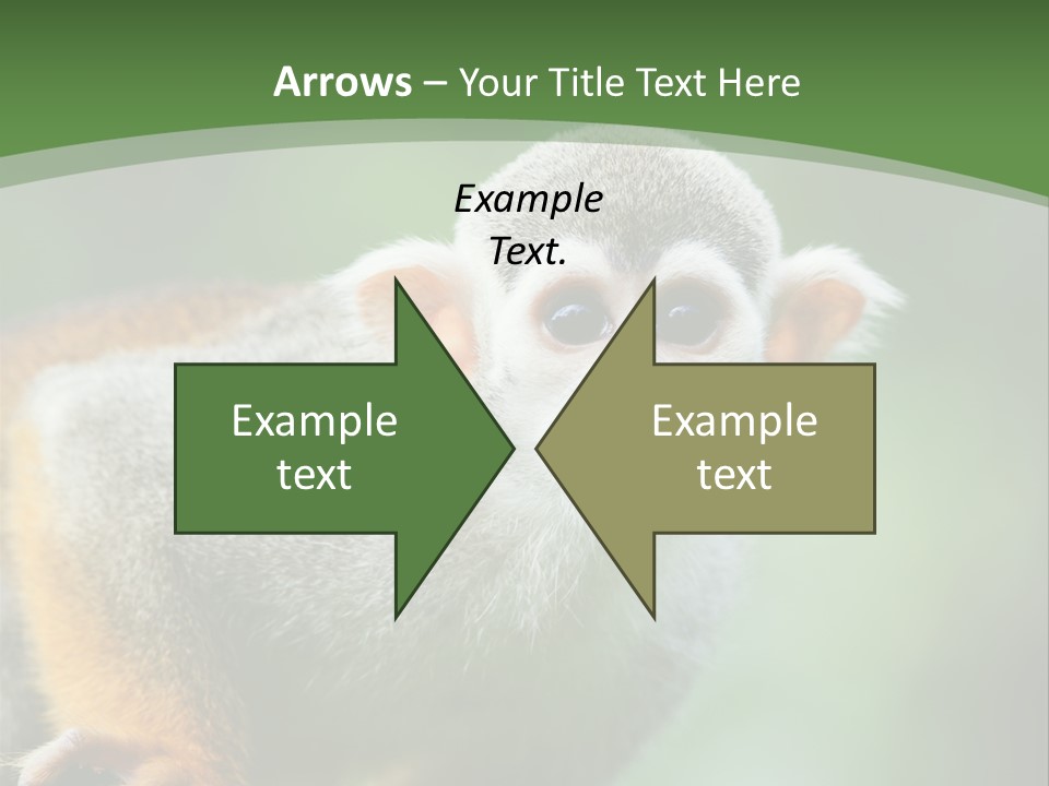 Ears Depth Of Field Tiny PowerPoint Template