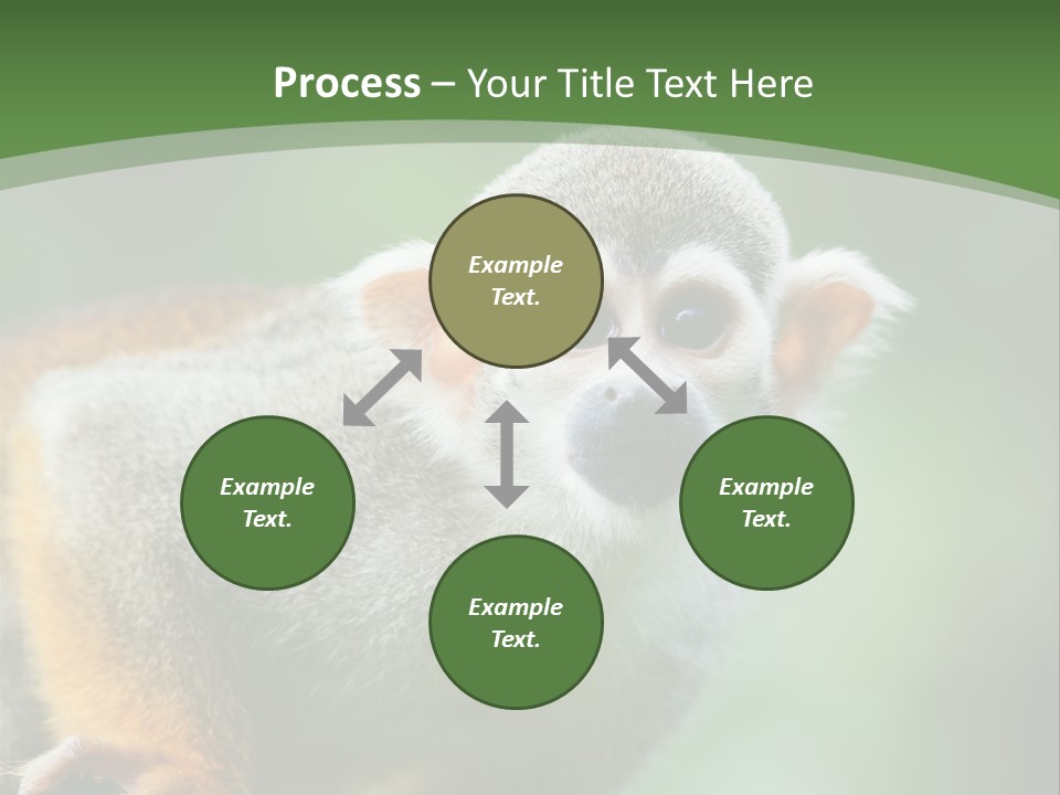 Ears Depth Of Field Tiny PowerPoint Template