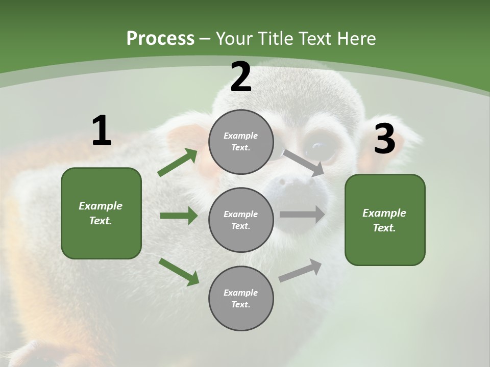 Ears Depth Of Field Tiny PowerPoint Template