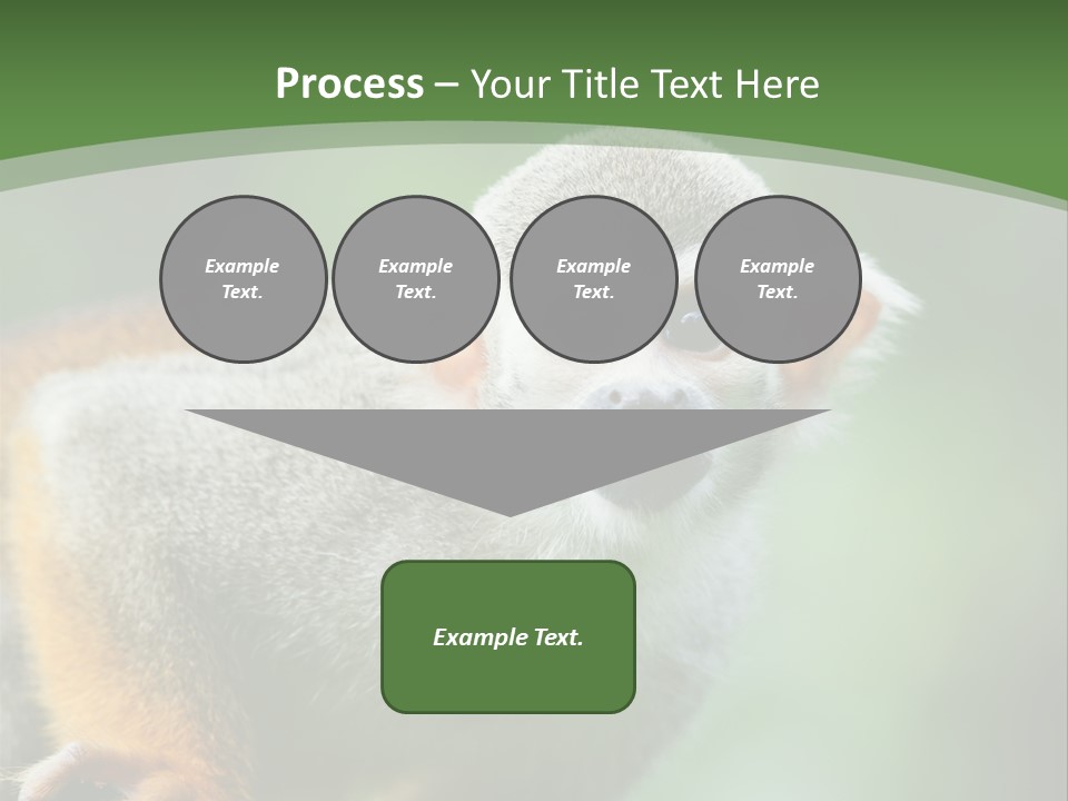 Ears Depth Of Field Tiny PowerPoint Template