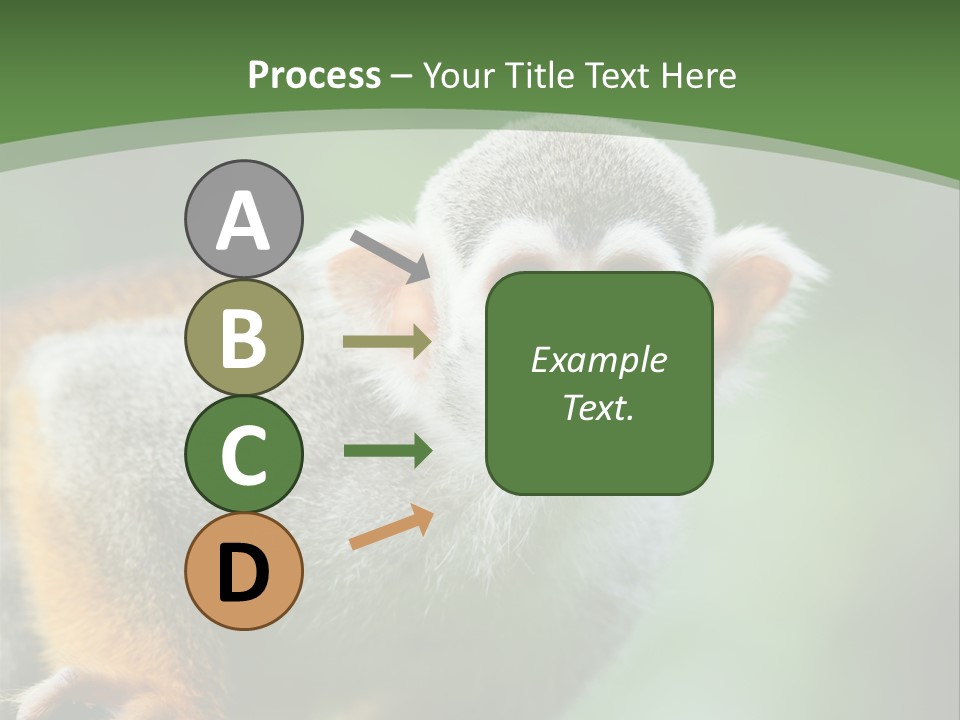 Ears Depth Of Field Tiny PowerPoint Template