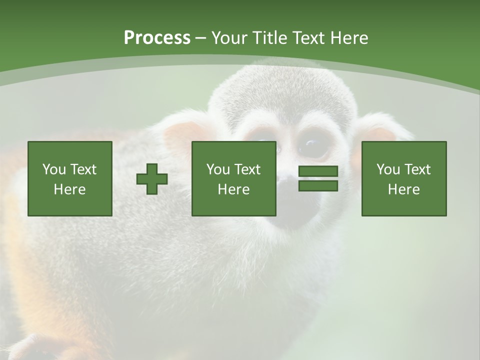 Ears Depth Of Field Tiny PowerPoint Template