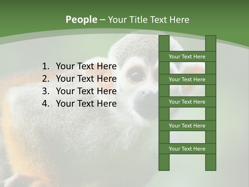 Ears Depth Of Field Tiny PowerPoint Template