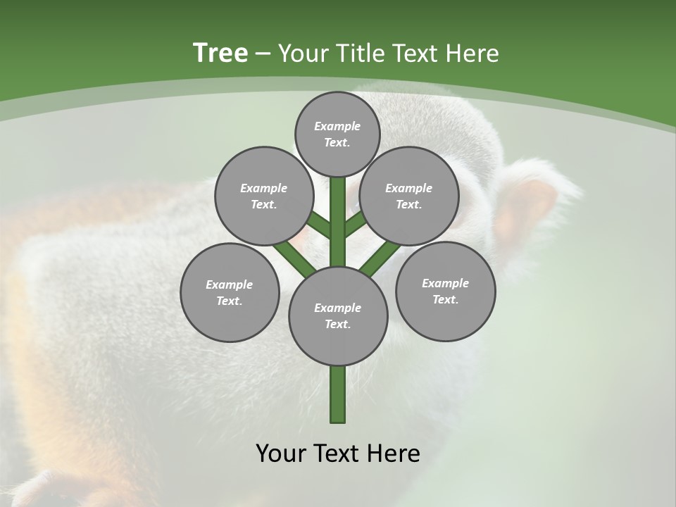 Ears Depth Of Field Tiny PowerPoint Template