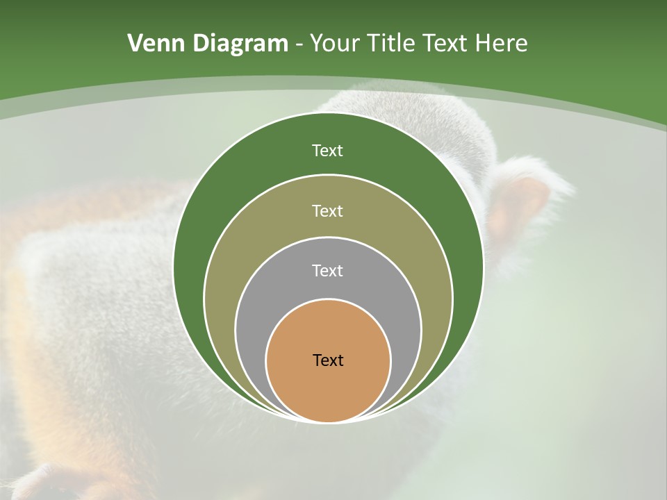 Ears Depth Of Field Tiny PowerPoint Template