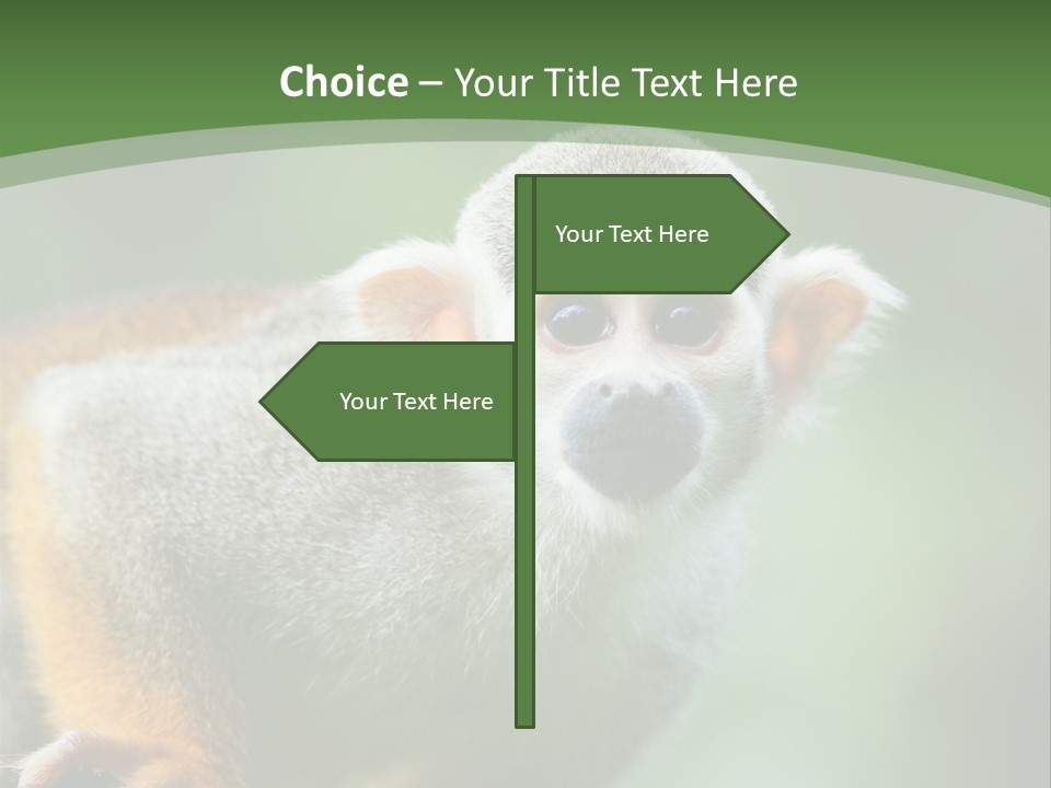 Ears Depth Of Field Tiny PowerPoint Template