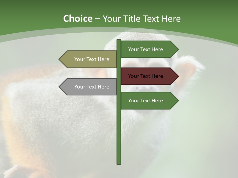 Ears Depth Of Field Tiny PowerPoint Template
