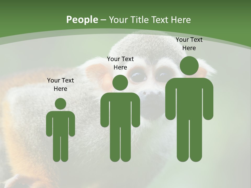 Ears Depth Of Field Tiny PowerPoint Template