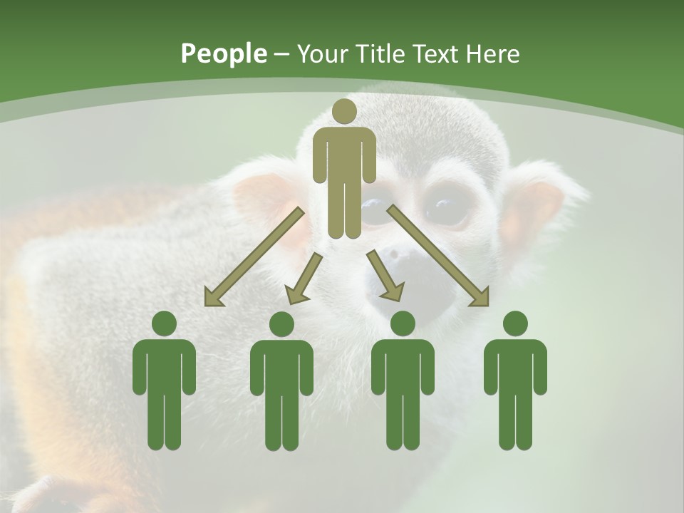 Ears Depth Of Field Tiny PowerPoint Template