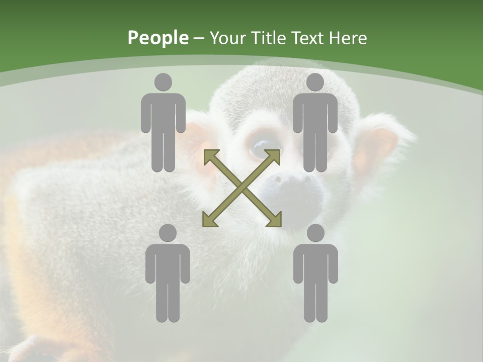 Ears Depth Of Field Tiny PowerPoint Template