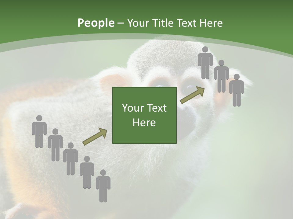 Ears Depth Of Field Tiny PowerPoint Template