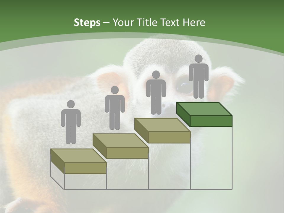 Ears Depth Of Field Tiny PowerPoint Template