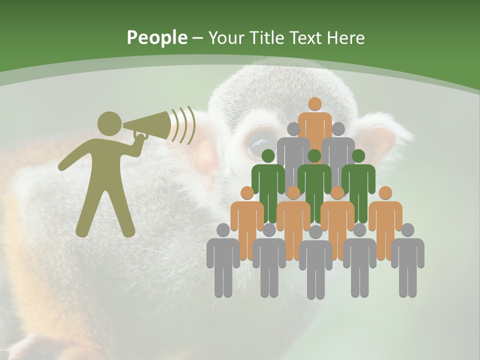 Ears Depth Of Field Tiny PowerPoint Template