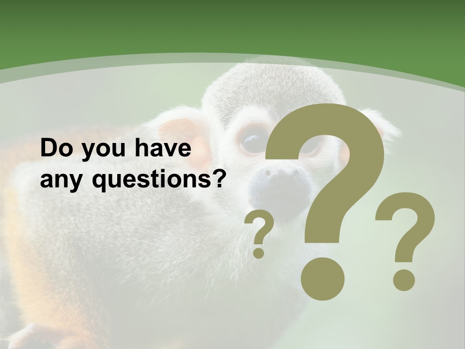 Ears Depth Of Field Tiny PowerPoint Template