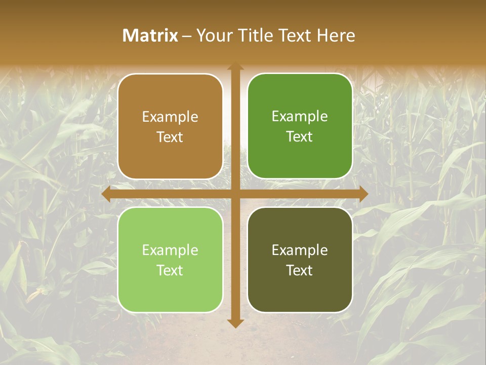 Mud Nature Plant PowerPoint Template