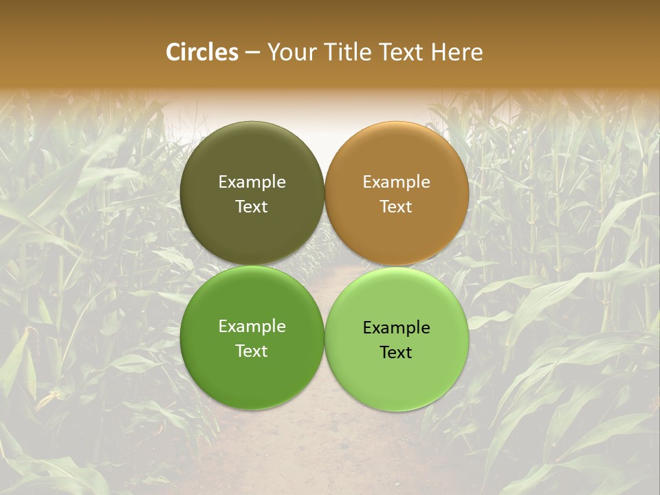 Mud Nature Plant PowerPoint Template