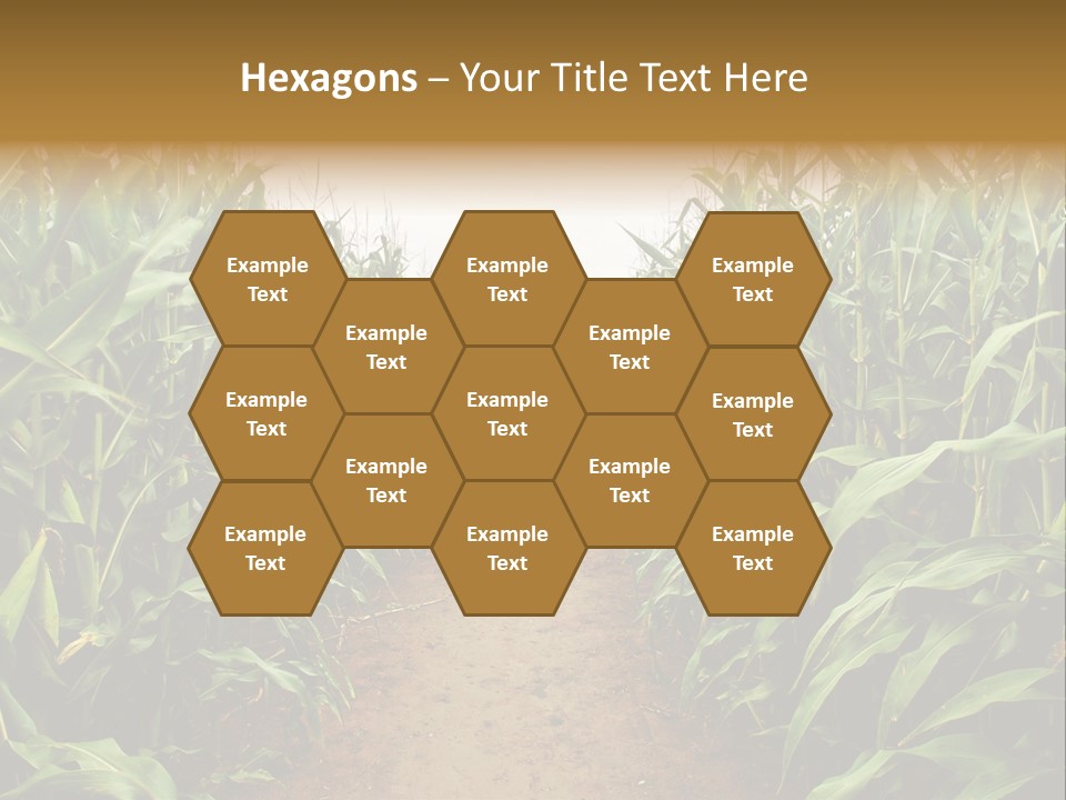 Mud Nature Plant PowerPoint Template