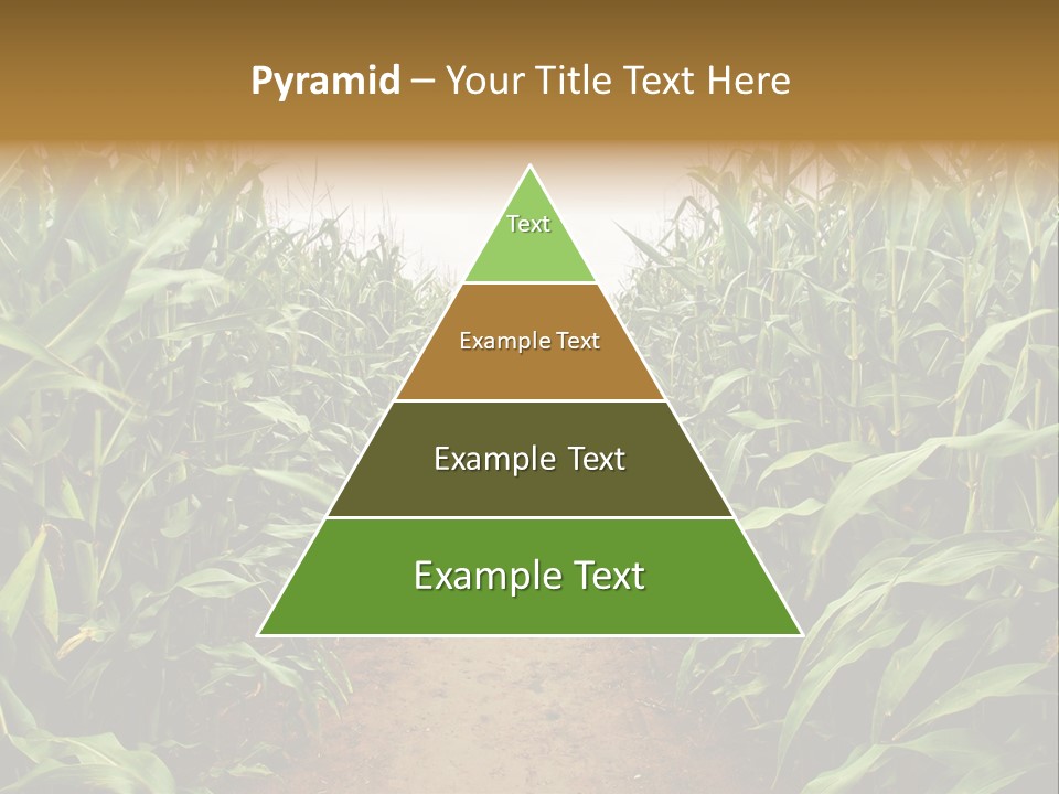Mud Nature Plant PowerPoint Template