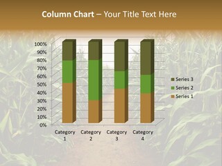 Mud Nature Plant PowerPoint Template