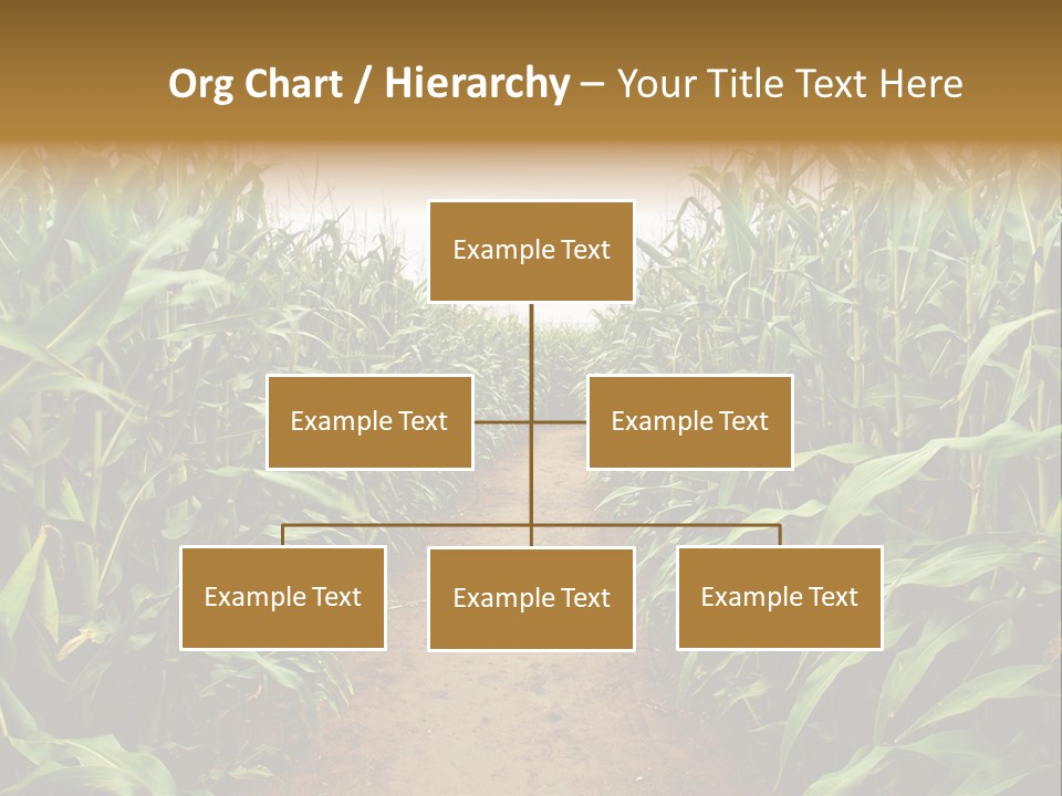 Mud Nature Plant PowerPoint Template