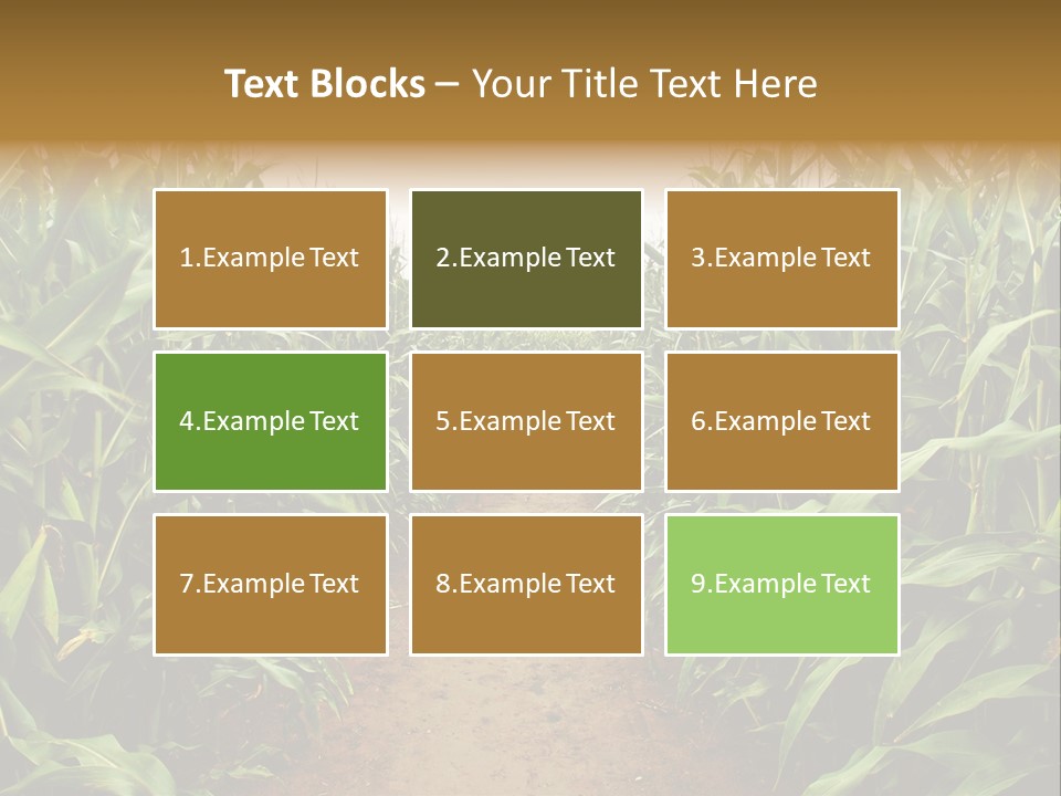 Mud Nature Plant PowerPoint Template