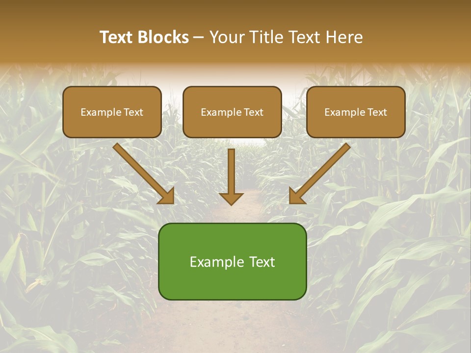 Mud Nature Plant PowerPoint Template
