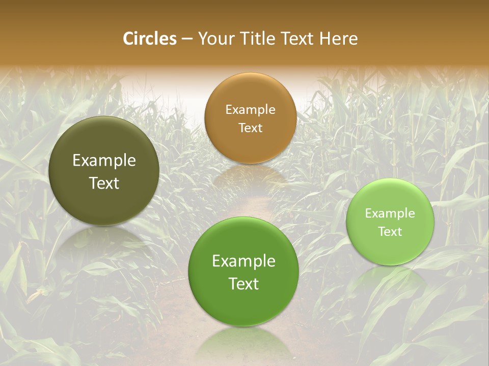 Mud Nature Plant PowerPoint Template