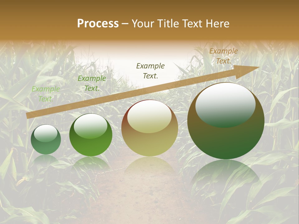 Mud Nature Plant PowerPoint Template