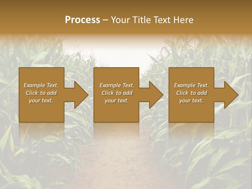 Mud Nature Plant PowerPoint Template
