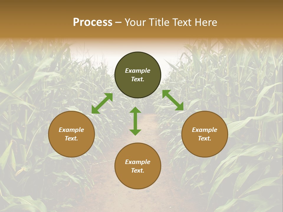 Mud Nature Plant PowerPoint Template