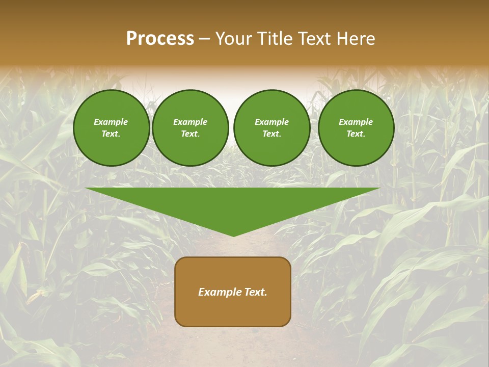 Mud Nature Plant PowerPoint Template
